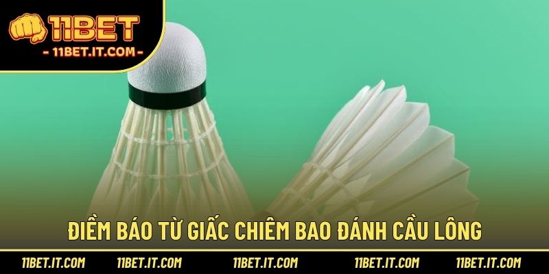 Điềm báo từ giấc chiêm bao đánh cầu lông