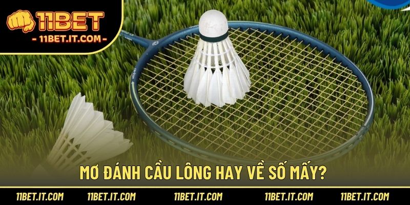 Mơ đánh cầu lông hay về số mấy? 