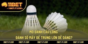 mơ đánh cầu lông